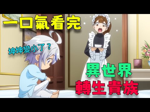 一口氣看完！一不小心轉生成三歲小孩，檢查完坤坤后就後悔了|轉生貴族的異世界冒險錄全集