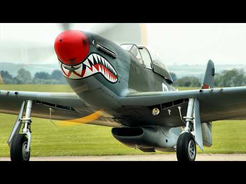 German Pilots Laughed At The P-51 Mustang, Until Its .50s Turned Luftwaffe Dogfights Into Slaughter