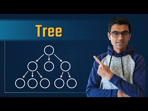 Tree (General Tree) - Data Structures & Algorithms Tutorials In Python #9