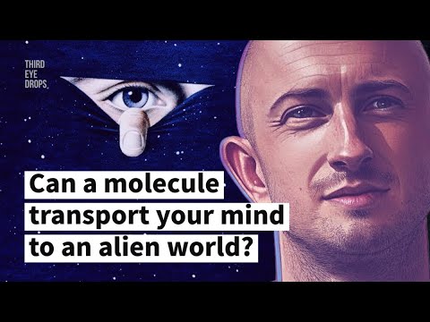 Neuroscientist, Andrew Gallimore on DMT and the Illusion of Reality