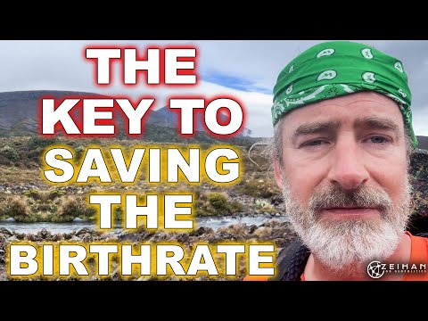 The Real Secret to Saving Birthrates || Peter Zeihan