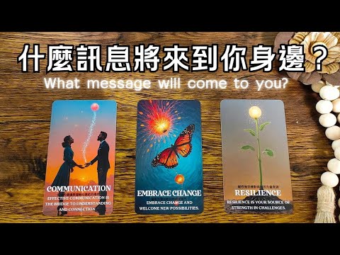 什麼訊息將來到你身邊？#運勢#感情#事業🎗️黑皮好思HappyHouse Tarot⭐能量顯化 #塔羅占卜#諮詢 #tarotreading