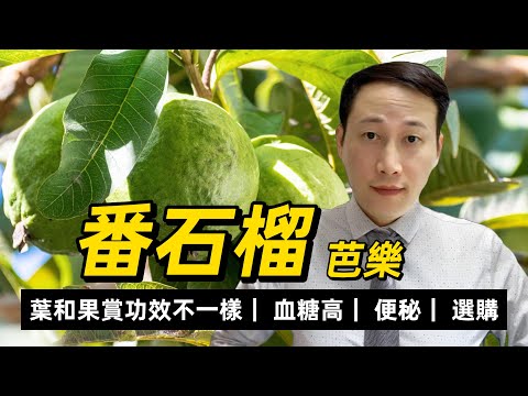 番石榴，芭樂，吃了有什么好处，有什么需要注意的？適合血糖高？關係的問題？如何選購？