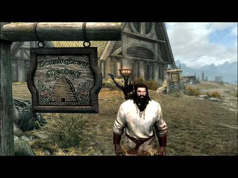 Skyrim Immersive Fat Idiot Son