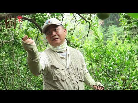 【樹呆子小學堂】轉型有機，你必須要有的新觀念part1