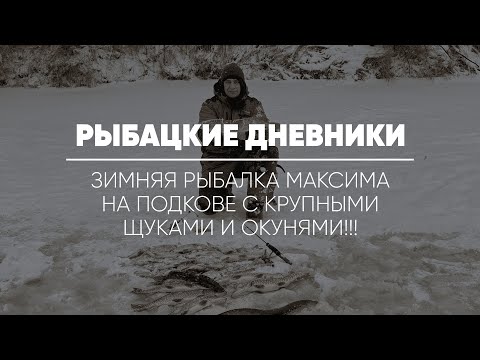 РЫБАЦКИЕ ДНЕВНИКИ // Зимняя рыбалка Максима на подкове с крупными щуками и окунями!!!