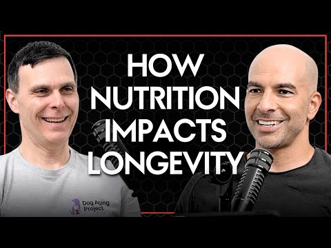 222 ‒ How nutrition impacts longevity | Matt Kaeberlein, Ph.D.