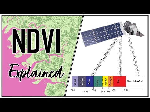 Calculating NDVI from Satellite Imagery using QGIS