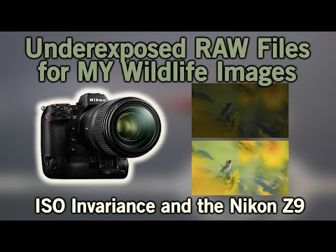 ISO Invariance, UNDER Exposing, and the Nikon  Z9.