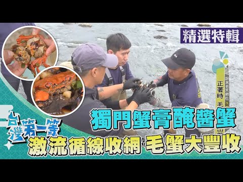 台灣第一等【蛤蜊故鄉好美寮濕地 阿嬤配方冰沙蛤蜊給／鳳山溪激流尋毛蟹 獨門蟹膏醃醬蟹】 _精選特輯