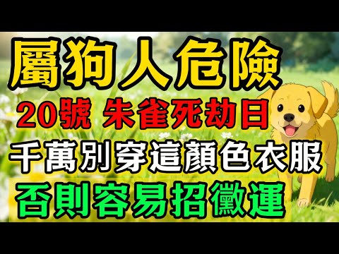 生肖狗必看！明天12月20號「朱雀死劫日」，農曆十一月初一，這天千萬別穿這顏色衣服，否則容易招黴運，家人需註意安全！#佛靈禪境#屬相運勢#生肖#家運#生肖運勢的那些事#先知#風水變化#提升運勢