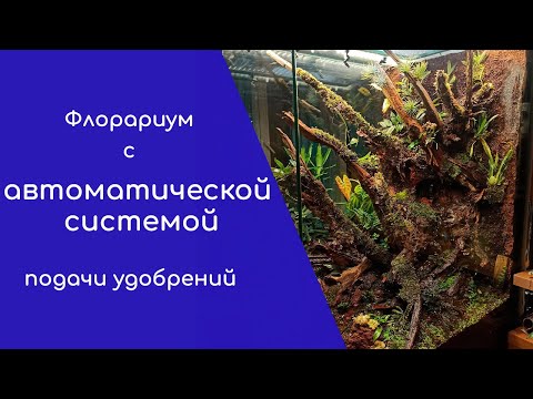 Флорариум с автоматической системой подачи удобрений