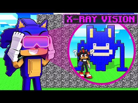 I Cheated with X-RAY VISION in a Minecraft Build Challenge!