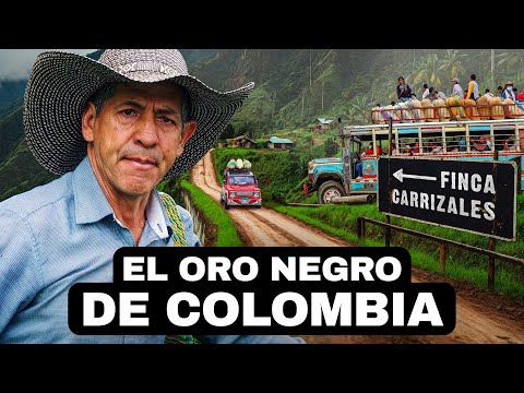 El Oro Negro De Colombia | Documental De Café Colombiano (Versión en Español)