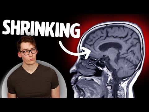 Half of Us are Deficient in this Mineral… and its Shrinking our Brain