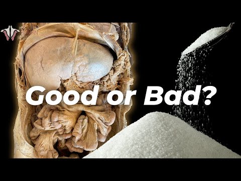 What Sugar ACTUALLY Does to the Body