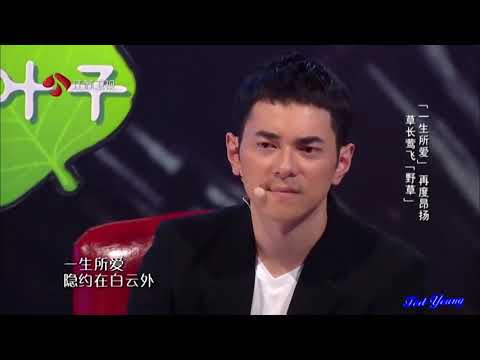 譚維維《一生所愛》【 音樂純享】 蒙面歌王 Tan WeiWei 野草 Masked Singer20150823