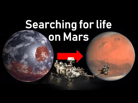 Persevering for life on Mars