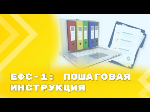 Порядок предоставления сведений по форме ЕФС-1