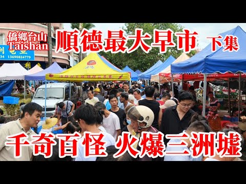 佛山順德最大最火爆市集丨三洲墟素有“千奇百怪 百物皆備”之名丨逛市場閒余還可在路邊小餐館品嘗順德美食丨傾盆大雨 #chinavillagelife #marketplace #streetfoods