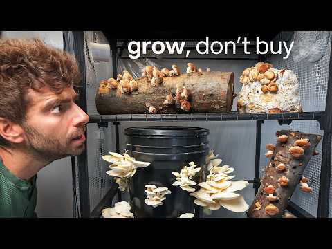 I'm never buying Mushrooms again (here's why)