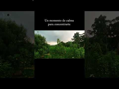 Música clásica con paisaje natural #Mozart #MusicaClasica #StudyMusic #CalmMusic #Yutori