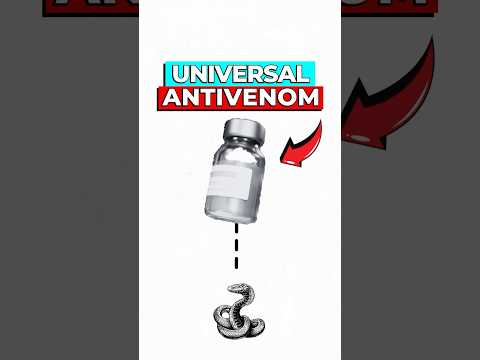Scientists Create World's First Universal Antivenom