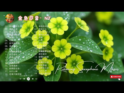 [無廣告] 太美了👍100大最美的華語薩克斯風曲 | 經典的薩克斯曲目 - 萨克斯金曲100首老歌