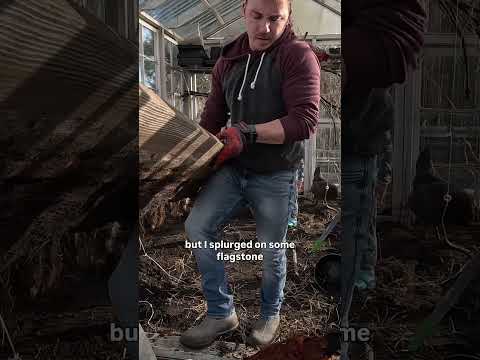 Greenhouse Pain, Beauty & Progress