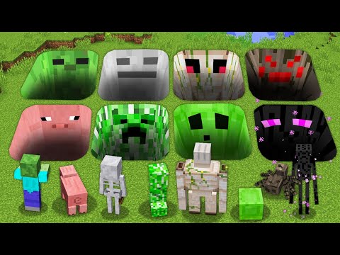 Minecraft ENDERMAN ZOMBIE CREEPER SLIME GOLEM PIG SECRET TUNNELS