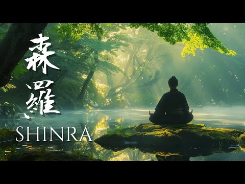 SHINRA – Zen Soundscape of Verdant Dawn（森羅）