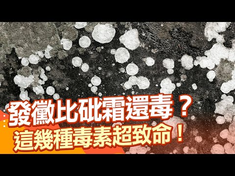 「失智」是黴菌在搞鬼？！醫示警：誤吸黴菌恐變非典型肺炎！恐在「腦部發芽」釀感染害失智！譚敦慈點名：「2大毒素」是劇毒！黃麴毒素上榜！傷肝又致癌！｜祝你健康