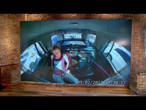 High-speed chase after shoplifting suspect steals police car