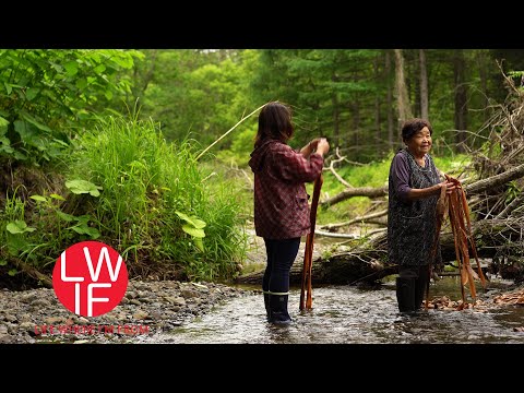 Making Cloth from Tree Bark with Ainu in Japan
