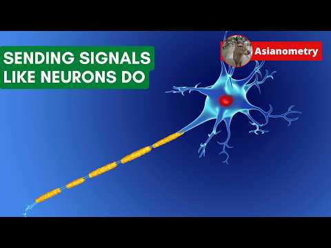 Sending Signals like Neurons Do (At the Edge of Chaos)