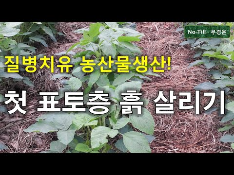 도시농 전업농 귀농 온라인교육 I 표토층 토양 살리기