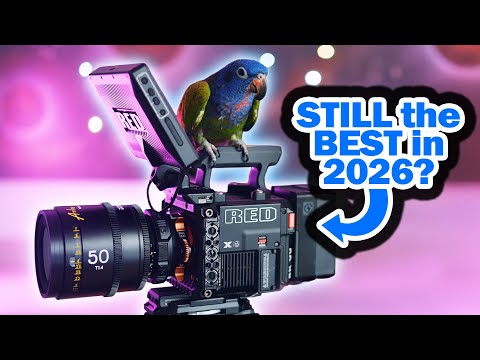 RED V-Raptor X in 2026: my 2-year review