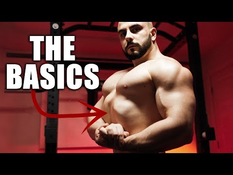 The Basics ALWAYS Build Muscle (RANT)