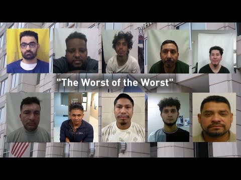 ICE operation in Ohio targets alleged criminals, but records raise questions