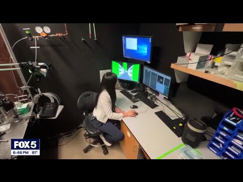 What 6.5 Years of Staring at Neurons Taught Me About Being Human