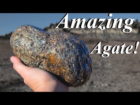 One of the Prettiest Agates I've Ever Found! Hounding the River for Agate, Petrified Wood, & Jasper!