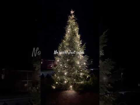 Scandinavian Evenings are Different 🌲 #minidailyvlog