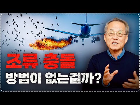 Why can't flying birds avoid airplanes? Is there a way to combat the recurring bird strikes? Choi...