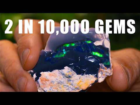 ROUGH OPAL CUT A HARLEQUIN PATTERN BLACK OPAL - 1 in 10,000 GEMS