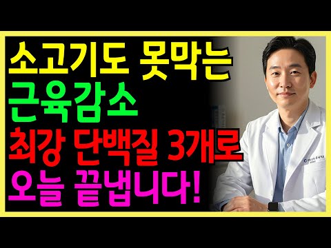 근육감소, 계란·고기도 못막는다! 휠체어 신세 막은 단백질 3가지 | 건강정보 | 노인건강 | 오디오북 |