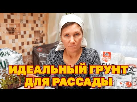 ИДЕАЛЬНЫЙ ГРУНТ ПРИЯТНО САЖАТЬ РАССАДУ СПОСОБ ВЫБОРА ГРУНТА ДЛЯ КРЕПКОЙ РАССАДЫ @obovsemsmarusya