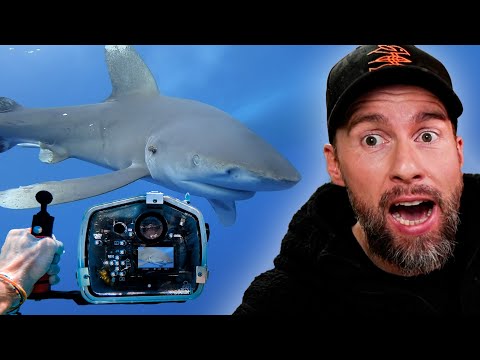KRASSE AUFNAHMEN! Zuschauerin filmt ihren Hai-Zwischenfall in Ägypten | Robert Marc Lehmann