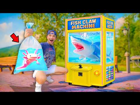 I Bought Deadly Fish From a Live Fish Claw Machine...