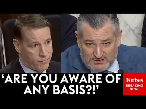 BREAKING: Ted Cruz Questions Ex-FBI Special Agent About Jack Smith's Subpoenas For Senators' Records