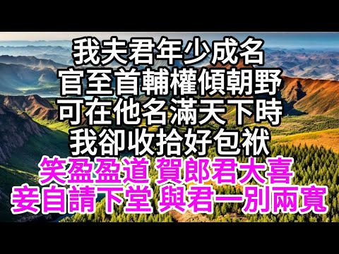 我夫君年少成名，官至首輔，權傾朝野，可在他名滿天下時，我卻收拾好包袱，笑盈盈道，賀郎君大喜，妾自請下堂，與君一別兩寬 【美好人生】
